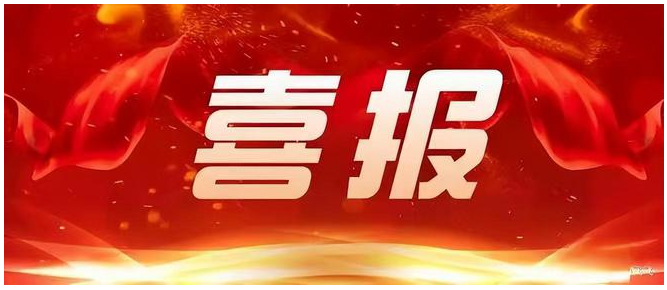 山東麻豆免费观看製藥有限公司被認定為山東省企業技術中心